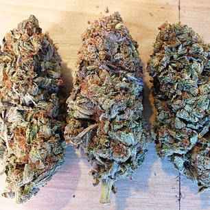 Black Valley Rippers Seeds 